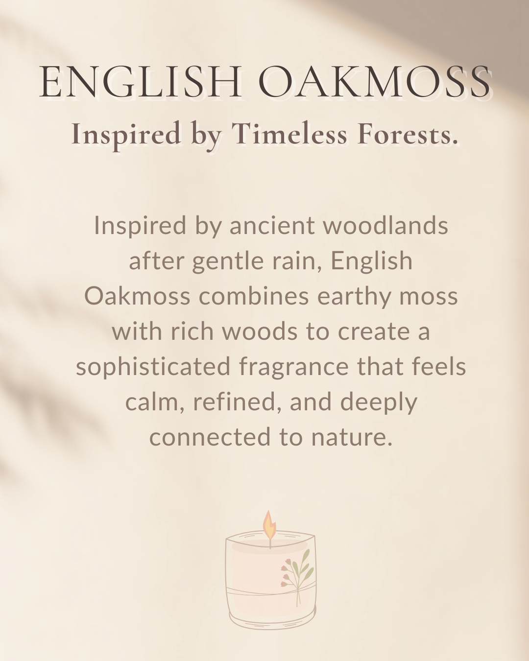 Oak Elegance | English Oakmoss | Soy Wax Candle | NAYAM