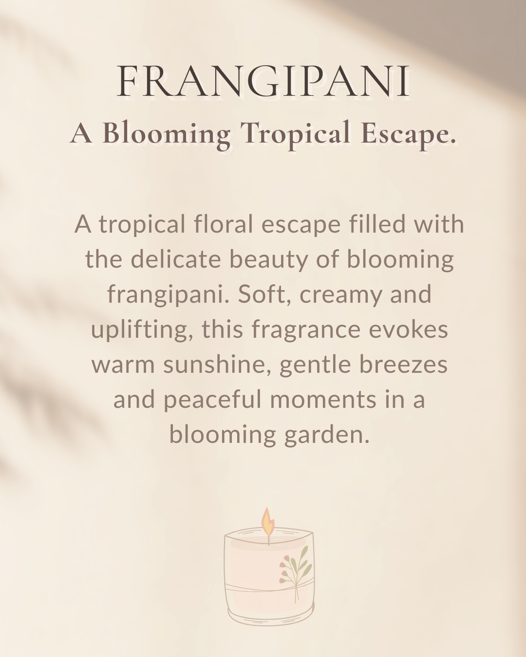 Frangipani | Scented Soy Wax Tealight Candles | Pack of 18