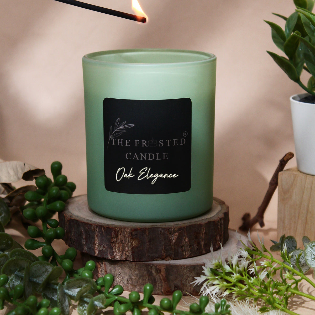 Oak Elegance | English Oakmoss | Soy Wax Candle | NAYAM
