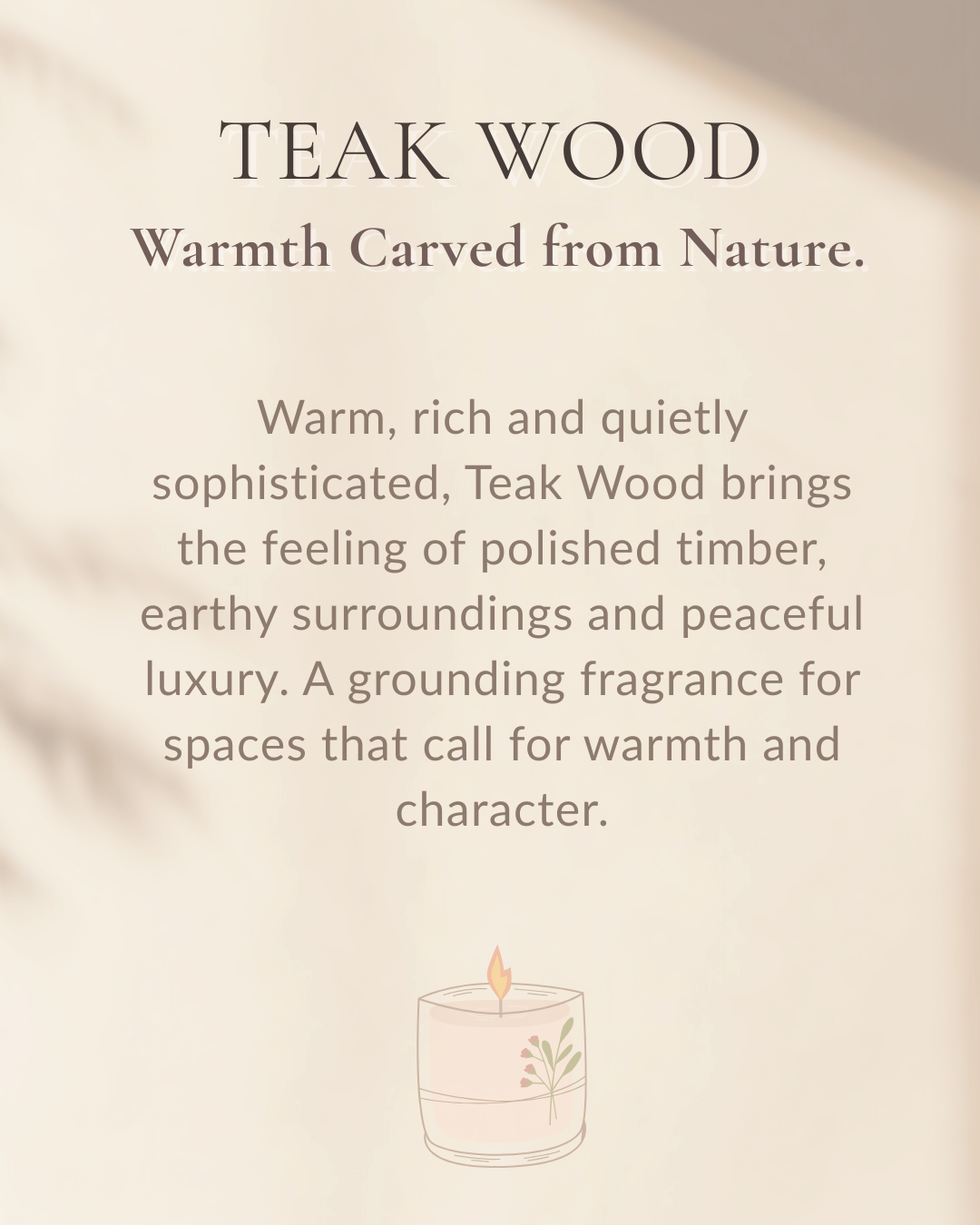 Teak Wood | Scented Soy Wax Tealight Candles | Pack of 18